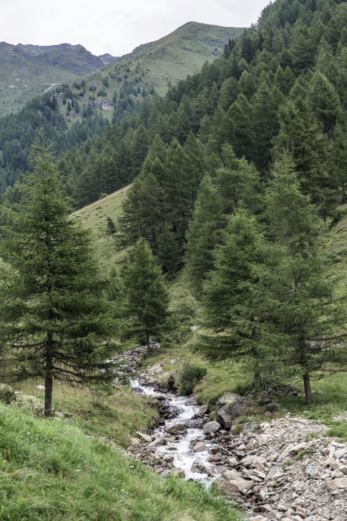 la tutela dell’ambiente è entrata definitivamente nella Costituzione